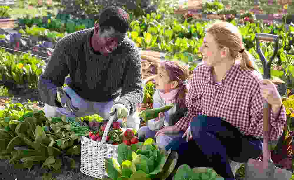 Công ty cổ phần tập đoàn G.ORGANIC