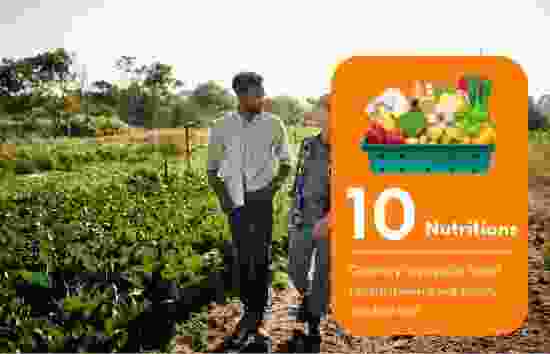 Công ty cổ phần tập đoàn G.ORGANIC